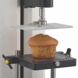 Probe Placa de Compressão