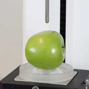 Dispositivo de Suporte Circular