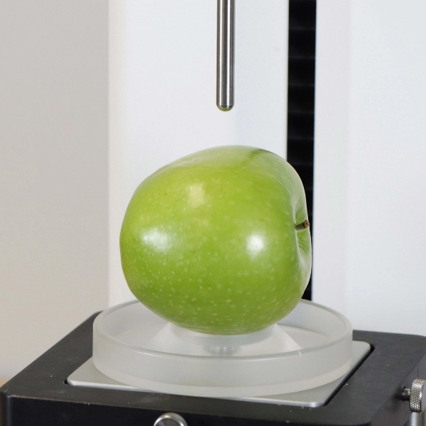 Dispositivo de Suporte Circular