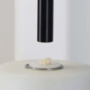 Dispositivo para Pegajosidade da Massa