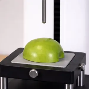 Probes Magness-Taylor